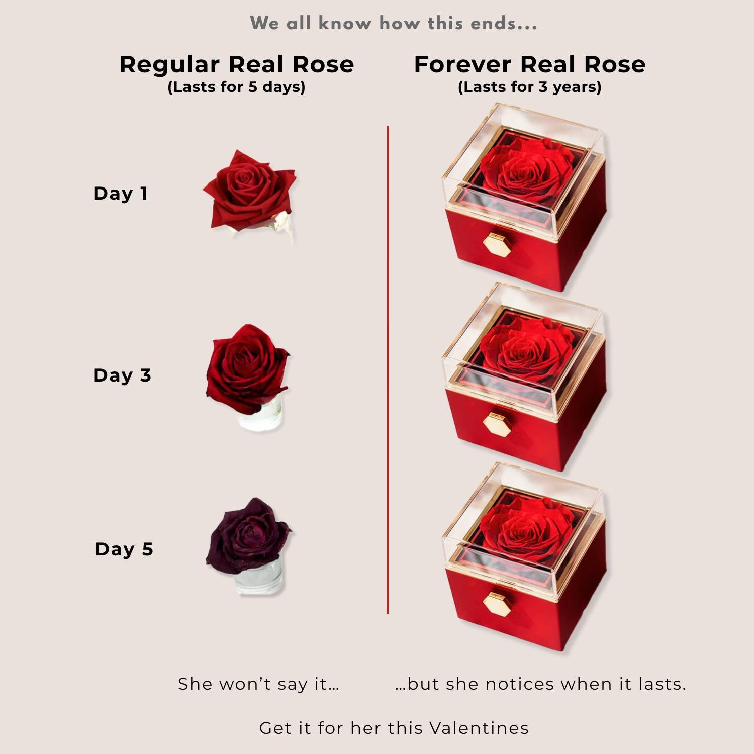 Valentine's Rotating Preserved Rose Jewellery Box