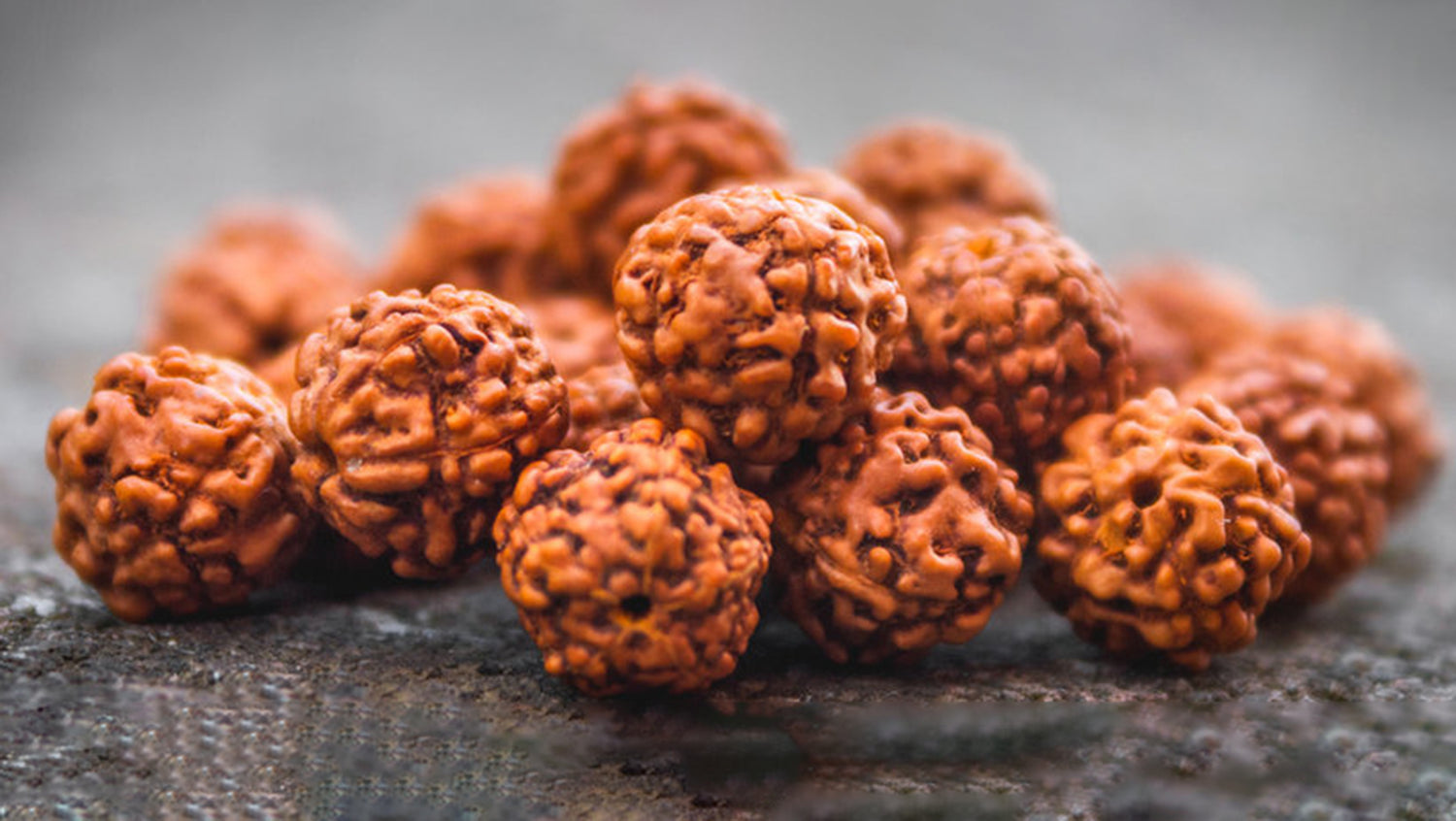 Panchmukhi Rudraksha