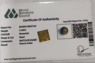 Amber lab certificate 11
