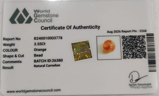 Carnelian lab certificate 13