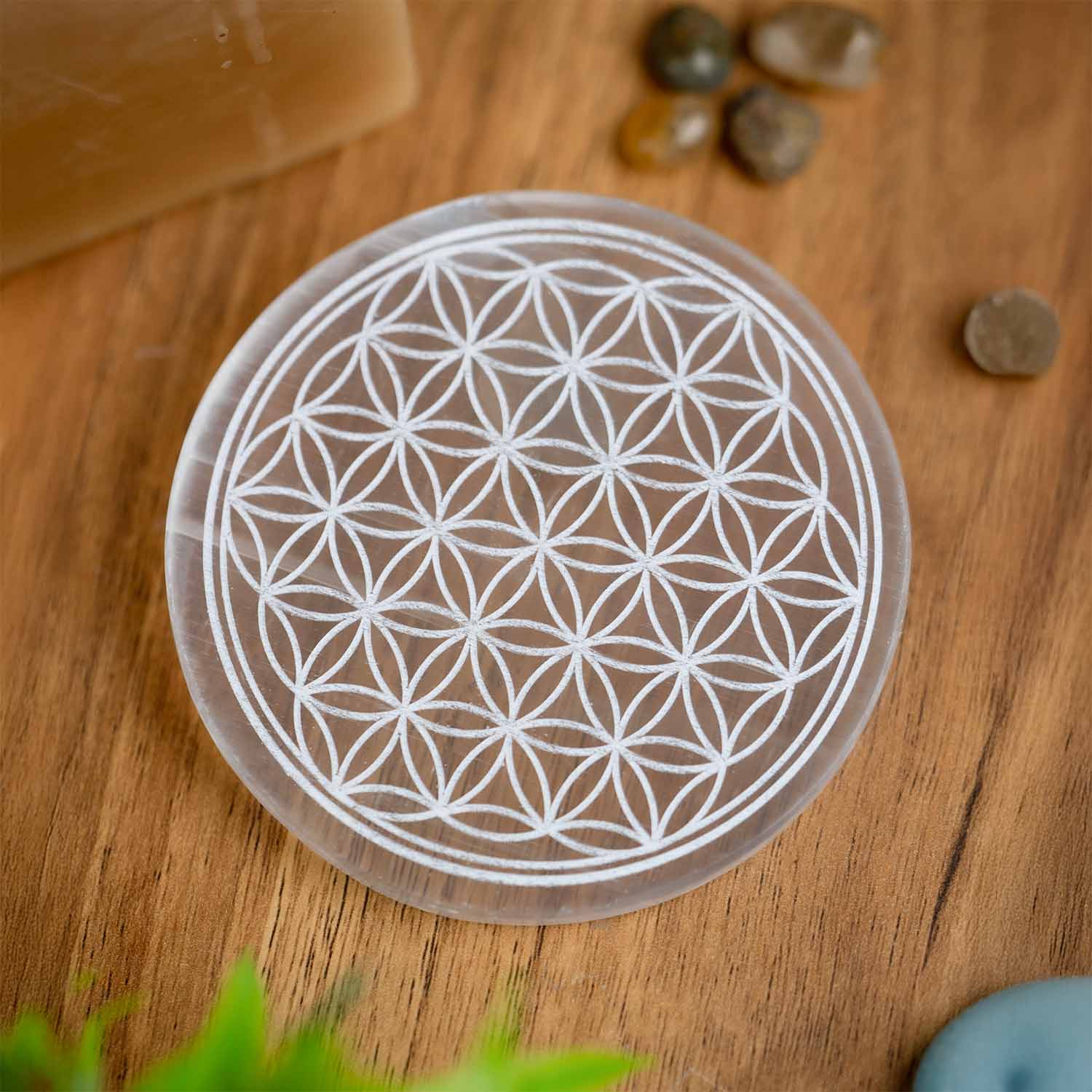 Floral Selenite Charging Plate
