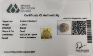 Rudraksh lab certificate 12