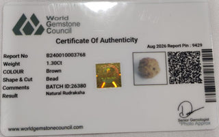 Rudraksh lab certificate 13