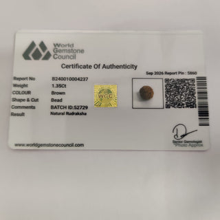 Rudraksh lab certificate 15