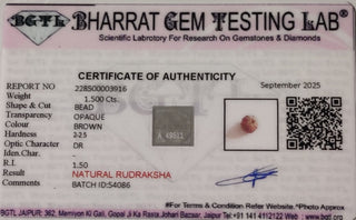 Rudraksh lab certificate 7