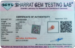 Rudraksh lab certificate 8