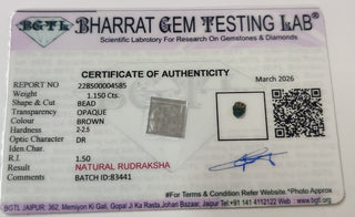 Rudraksh lab certificate 10