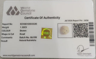 Rudraksh lab certificate 11